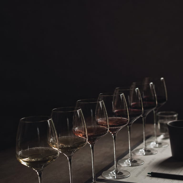 Série de verres de dégustation alignés sur une paillasse sombre